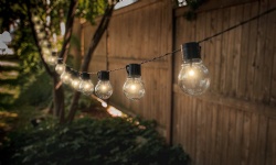 Festoon Lights